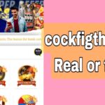 cockfightgames Real or Fake